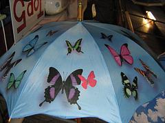 Umbrella - Blue Butterflies