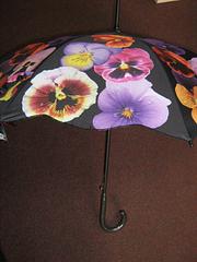 Umbrella - Pansy